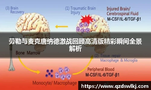 芒果体育官网入口