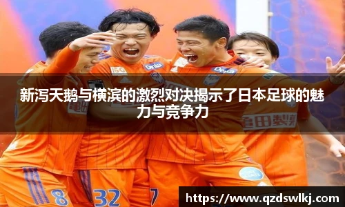 芒果体育官网入口