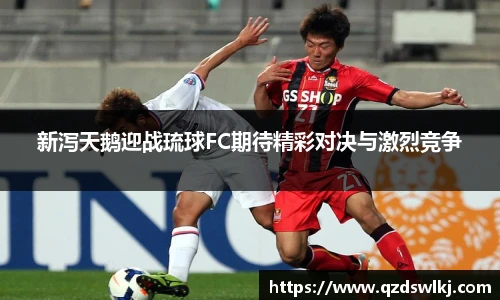 新泻天鹅迎战琉球FC期待精彩对决与激烈竞争