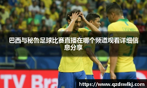 芒果体育官网入口